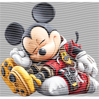 Mickey-AMQ 3458